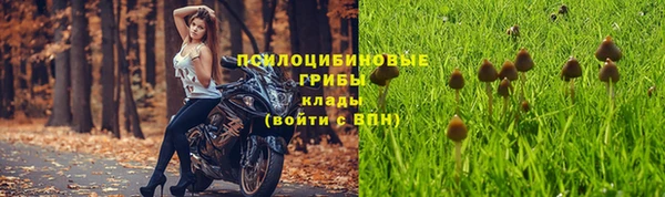 мескалин Бронницы