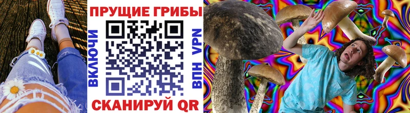 Галлюциногенные грибы прущие грибы  Новохопёрск 